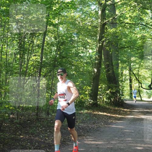 22.09.2024 - 32. Volkslauf durch das schöne Alstertal Miley Keyser http://msf.ph/oto/7137755 22.09.2024 10:16:00 Laufen 1508 meine-sportfotos.de
