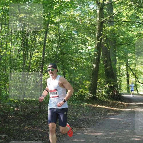 22.09.2024 - 32. Volkslauf durch das schöne Alstertal Miley Keyser http://msf.ph/oto/7137757 22.09.2024 10:16:00 Laufen 1508 meine-sportfotos.de