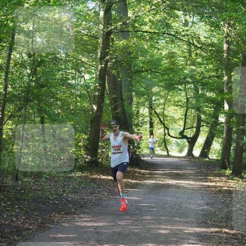 22.09.2024 - 32. Volkslauf durch das schöne Alstertal Miley Keyser http://msf.ph/oto/7137761 22.09.2024 10:15:59 Laufen 1508 meine-sportfotos.de