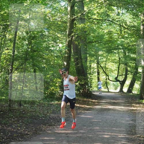 22.09.2024 - 32. Volkslauf durch das schöne Alstertal Miley Keyser http://msf.ph/oto/7137762 22.09.2024 10:15:59 Laufen 1508 meine-sportfotos.de