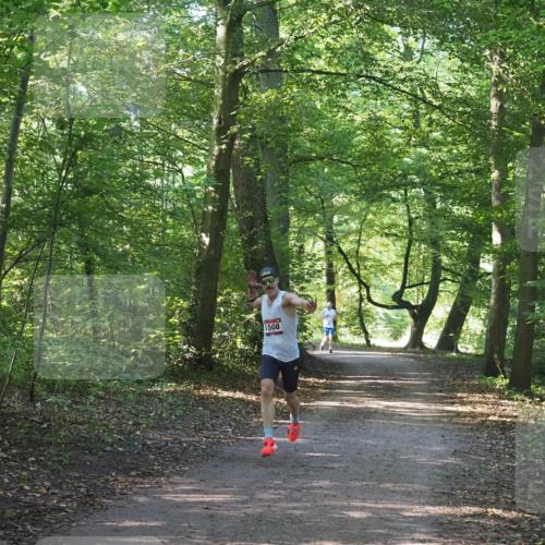 22.09.2024 - 32. Volkslauf durch das schöne Alstertal Miley Keyser http://msf.ph/oto/7137763 22.09.2024 10:15:58 Laufen 1508 meine-sportfotos.de