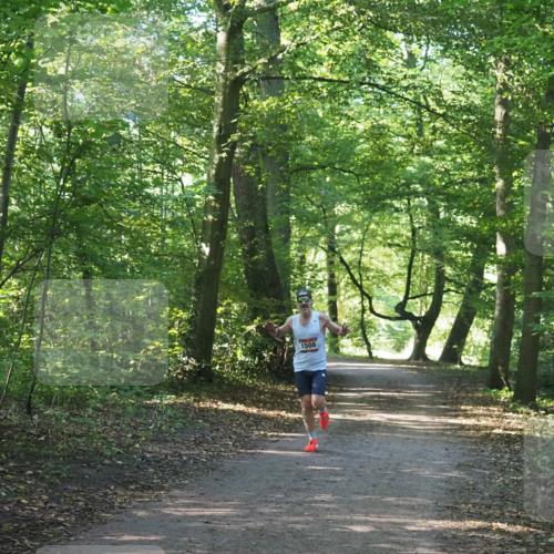 22.09.2024 - 32. Volkslauf durch das schöne Alstertal Miley Keyser http://msf.ph/oto/7137765 22.09.2024 10:15:58 Laufen 1508 meine-sportfotos.de