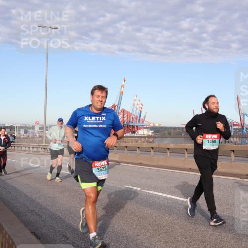 03.10.2024 - Köhlbrandbrückenlauf Matties Gatica Varas http://msf.ph/oto/7145617 03.10.2024 09:42:48 Position 2 4, 3628, 1468, 1819 meine-sportfotos.de