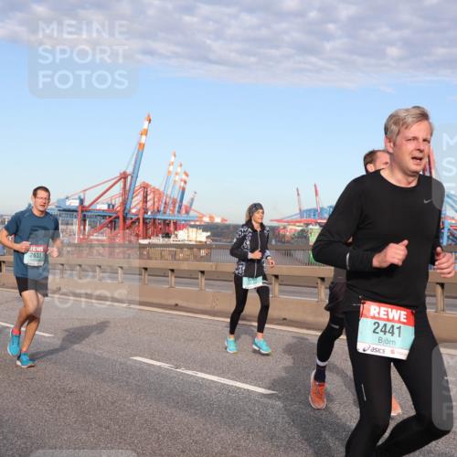 03.10.2024 - Köhlbrandbrückenlauf Matties Gatica Varas http://msf.ph/oto/7146919 03.10.2024 09:42:40 Position 2 2633, 2441 meine-sportfotos.de