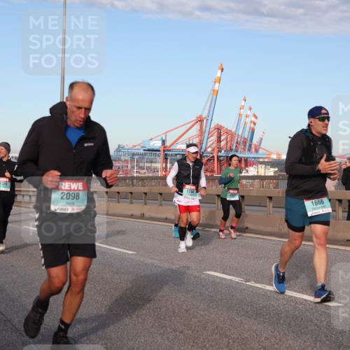 03.10.2024 - Köhlbrandbrückenlauf Matties Gatica Varas http://msf.ph/oto/7147263 03.10.2024 09:43:06 Position 2 1324, 2098, 1794, 1666 meine-sportfotos.de