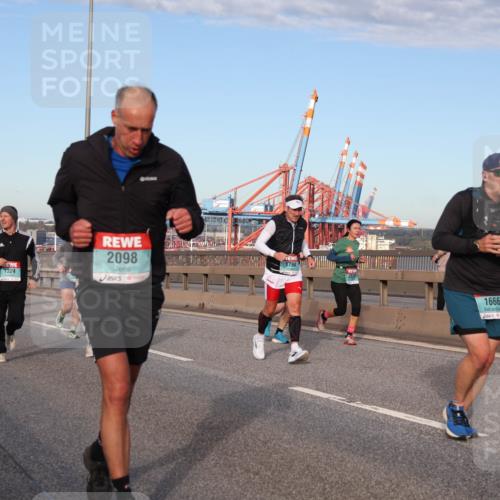 03.10.2024 - Köhlbrandbrückenlauf Matties Gatica Varas http://msf.ph/oto/7147269 03.10.2024 09:43:07 Position 2 1324, 2098, 1794, 1666 meine-sportfotos.de