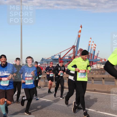 03.10.2024 - Köhlbrandbrückenlauf Matties Gatica Varas http://msf.ph/oto/7147952 03.10.2024 09:44:22 Position 2 500, 1683, 1526, 1627, 2000, 1610, 3236, 19 meine-sportfotos.de