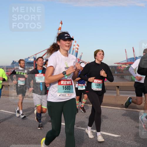 03.10.2024 - Köhlbrandbrückenlauf Matties Gatica Varas http://msf.ph/oto/7148028 03.10.2024 09:44:27 Position 2 2460, 2491, 2462, 1683, 1664, 1526, 1079 meine-sportfotos.de