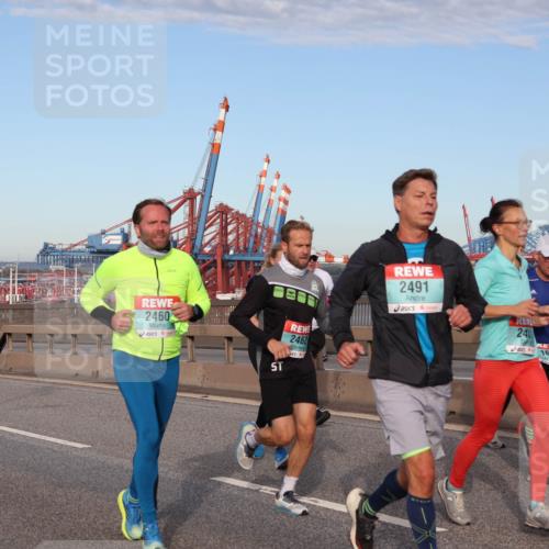 03.10.2024 - Köhlbrandbrückenlauf Matties Gatica Varas http://msf.ph/oto/7148044 03.10.2024 09:44:29 Position 2 2834, 2460, 2462, 2491, 24, 1664 meine-sportfotos.de