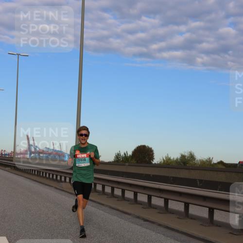 03.10.2024 - Köhlbrandbrückenlauf Miley Keyser http://msf.ph/oto/7164965 03.10.2024 09:33:45 Position 3 1038 meine-sportfotos.de