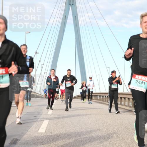 03.10.2024 - Köhlbrandbrückenlauf Jannik Wohlers http://msf.ph/oto/7187592 03.10.2024 09:44:25 Position 2 1421, 2475, 1849, 3585, 2441 meine-sportfotos.de