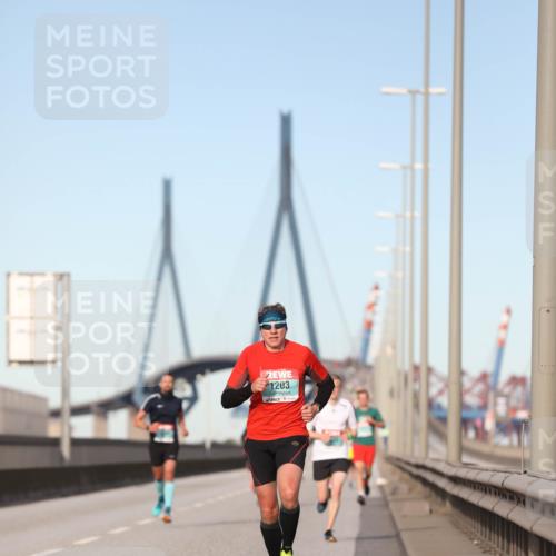 03.10.2024 - Köhlbrandbrückenlauf Fuchs,  Jonas http://msf.ph/oto/7202740 03.10.2024 09:40:13 Position 3 1203 meine-sportfotos.de