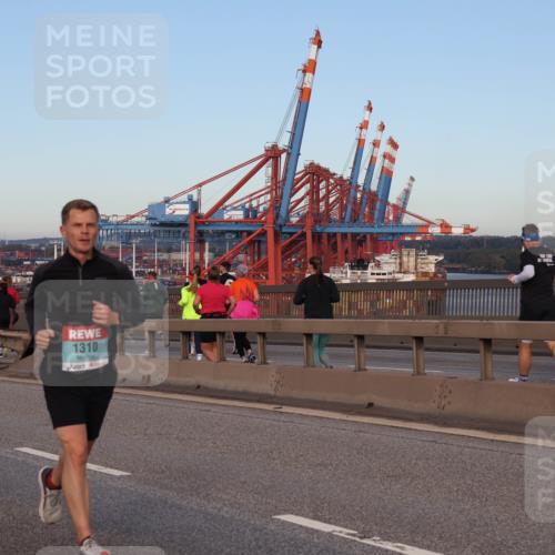 03.10.2024 - Köhlbrandbrückenlauf Matties Gatica Varas http://msf.ph/oto/7208576 03.10.2024 09:34:31 Position 2 500, 1, 1310 meine-sportfotos.de