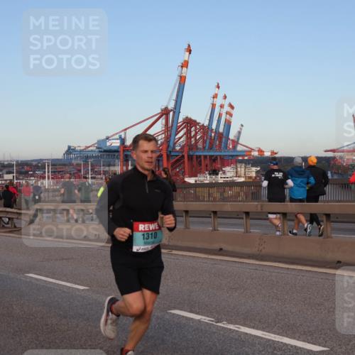 03.10.2024 - Köhlbrandbrückenlauf Matties Gatica Varas http://msf.ph/oto/7208586 03.10.2024 09:34:32 Position 2 2659, 500, 1, 1310 meine-sportfotos.de