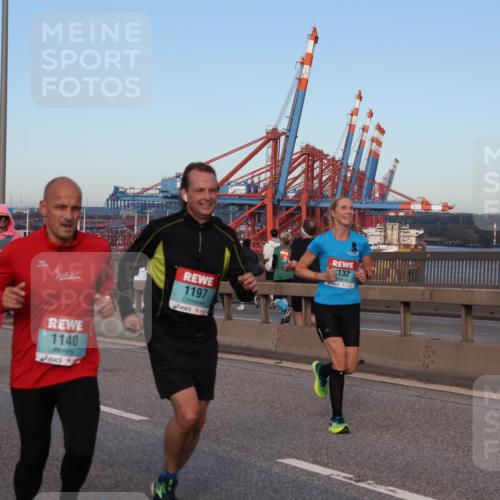 03.10.2024 - Köhlbrandbrückenlauf Matties Gatica Varas http://msf.ph/oto/7209772 03.10.2024 09:35:26 Position 2 500, 1140, 1197, 132 meine-sportfotos.de