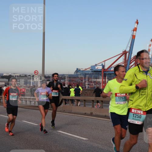 03.10.2024 - Köhlbrandbrückenlauf Matties Gatica Varas http://msf.ph/oto/7210294 03.10.2024 09:35:40 Position 2 500, 1270, 1442, 500, 1443, 1763, 1257, 1250 meine-sportfotos.de