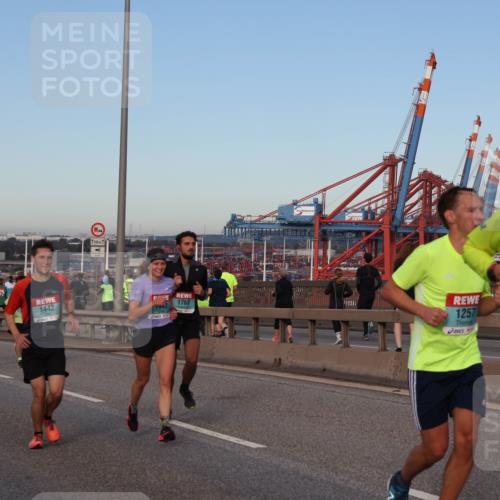 03.10.2024 - Köhlbrandbrückenlauf Matties Gatica Varas http://msf.ph/oto/7210297 03.10.2024 09:35:41 Position 2 500, 1, 1161, 1442, 500, 1, 1763, 1443, 1257, 1250 meine-sportfotos.de
