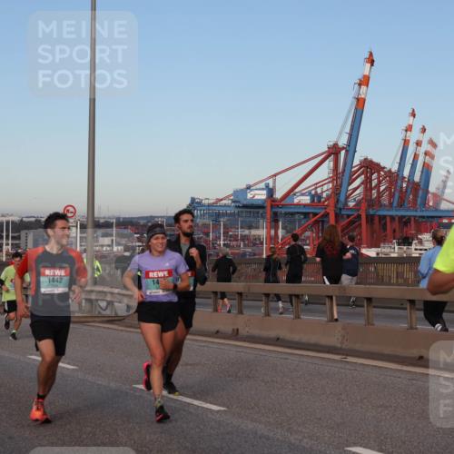 03.10.2024 - Köhlbrandbrückenlauf Matties Gatica Varas http://msf.ph/oto/7210312 03.10.2024 09:35:41 Position 2 1442, 14, 1257 meine-sportfotos.de