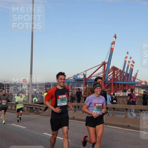 03.10.2024 - Köhlbrandbrückenlauf Matties Gatica Varas http://msf.ph/oto/7210354 03.10.2024 09:35:42 Position 2 1500, 1270, 500, 1, 1442, 1443 meine-sportfotos.de