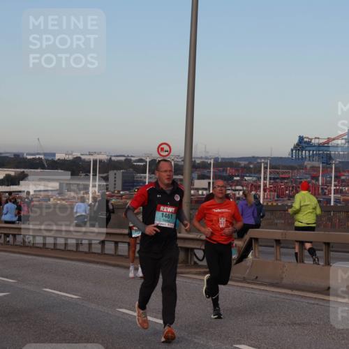 03.10.2024 - Köhlbrandbrückenlauf Matties Gatica Varas http://msf.ph/oto/7210643 03.10.2024 09:35:57 Position 2 1500, 1, 1245, 1461 meine-sportfotos.de