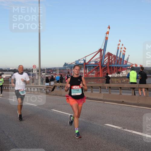 03.10.2024 - Köhlbrandbrückenlauf Matties Gatica Varas http://msf.ph/oto/7210891 03.10.2024 09:36:08 Position 2 1193 meine-sportfotos.de