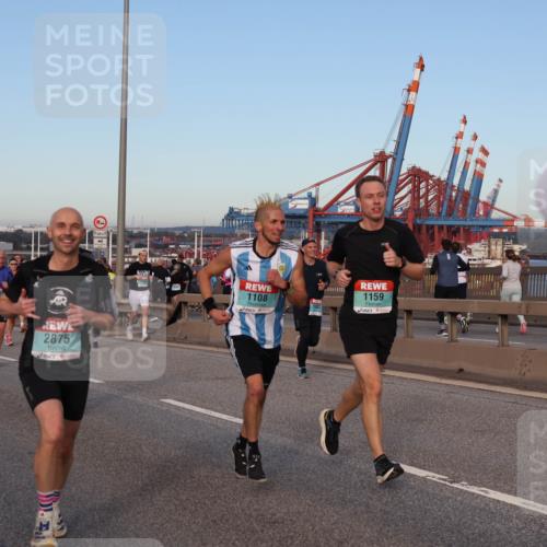 03.10.2024 - Köhlbrandbrückenlauf Matties Gatica Varas http://msf.ph/oto/7210999 03.10.2024 09:36:17 Position 2 2875, 1108, 1083, 1159, 3419 meine-sportfotos.de