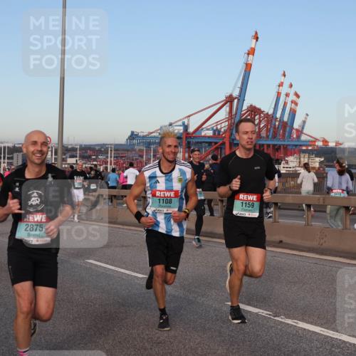 03.10.2024 - Köhlbrandbrückenlauf Matties Gatica Varas http://msf.ph/oto/7211004 03.10.2024 09:36:18 Position 2 1493, 2875, 1108, 1159, 3419 meine-sportfotos.de