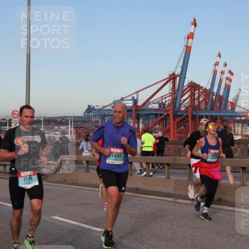 03.10.2024 - Köhlbrandbrückenlauf Matties Gatica Varas http://msf.ph/oto/7211078 03.10.2024 09:36:22 Position 2 1185, 500, 1119, 1493, 1575 meine-sportfotos.de