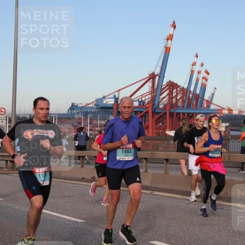 03.10.2024 - Köhlbrandbrückenlauf Matties Gatica Varas http://msf.ph/oto/7211089 03.10.2024 09:36:22 Position 2 1185, 500, 1, 11, 1493, 1575 meine-sportfotos.de