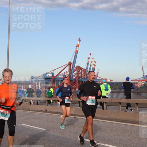 03.10.2024 - Köhlbrandbrückenlauf Matties Gatica Varas http://msf.ph/oto/7212185 03.10.2024 09:37:09 Position 2 1439, 1500, 1, 1462, 1983 meine-sportfotos.de