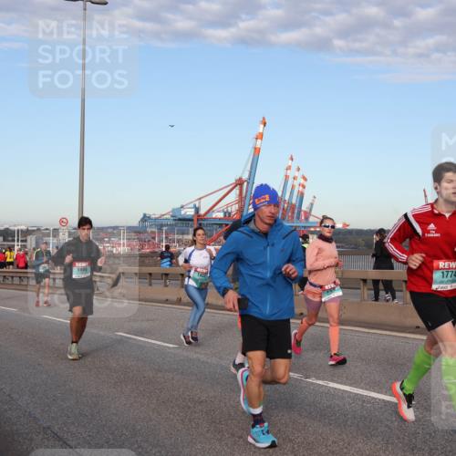 03.10.2024 - Köhlbrandbrückenlauf Matties Gatica Varas http://msf.ph/oto/7213279 03.10.2024 09:37:55 Position 2 1498, 1433, 1774, 19 meine-sportfotos.de