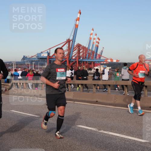 03.10.2024 - Köhlbrandbrückenlauf Matties Gatica Varas http://msf.ph/oto/7214813 03.10.2024 09:38:46 Position 2 3305, 1548, 1224 meine-sportfotos.de