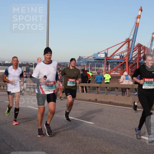 03.10.2024 - Köhlbrandbrückenlauf Matties Gatica Varas http://msf.ph/oto/7215926 03.10.2024 09:39:24 Position 2 3, 1500, 1, 1440, 2196, 1230 meine-sportfotos.de