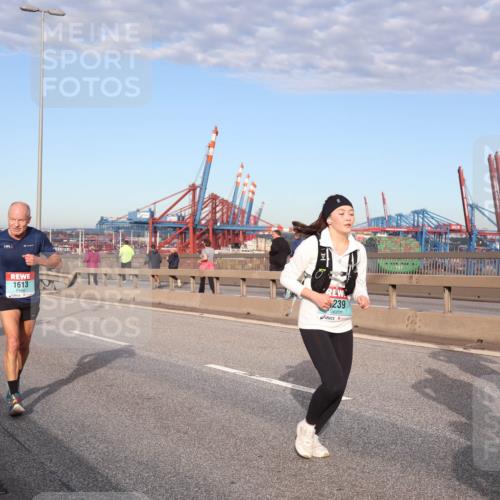 03.10.2024 - Köhlbrandbrückenlauf Matties Gatica Varas http://msf.ph/oto/7217199 03.10.2024 09:40:07 Position 2 1613, 239, 137 meine-sportfotos.de