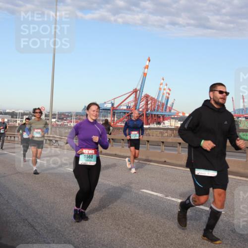 03.10.2024 - Köhlbrandbrückenlauf Matties Gatica Varas http://msf.ph/oto/7219186 03.10.2024 09:41:28 Position 2 1936, 1560, 1297 meine-sportfotos.de