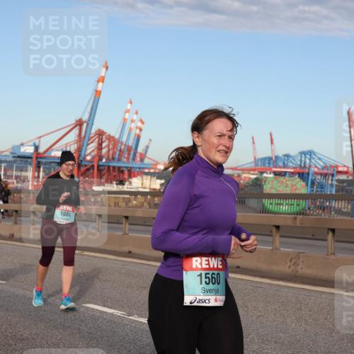 03.10.2024 - Köhlbrandbrückenlauf Matties Gatica Varas http://msf.ph/oto/7219216 03.10.2024 09:41:30 Position 2 8728, 1936, 1084, 1560 meine-sportfotos.de