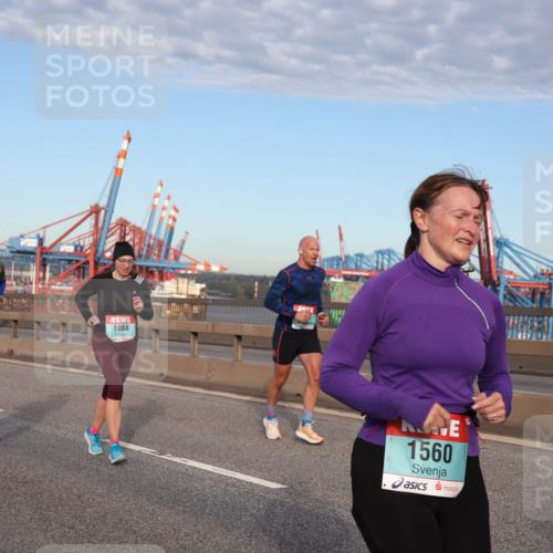 03.10.2024 - Köhlbrandbrückenlauf Matties Gatica Varas http://msf.ph/oto/7219231 03.10.2024 09:41:30 Position 2 1936, 1084, 1560 meine-sportfotos.de