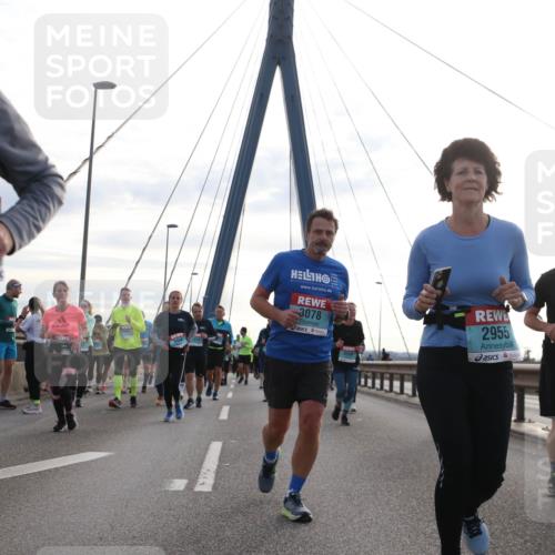 03.10.2024 - Köhlbrandbrückenlauf Jannik Wohlers http://msf.ph/oto/7295992 03.10.2024 09:34:34 Position 1 3078, 2955, 158 meine-sportfotos.de