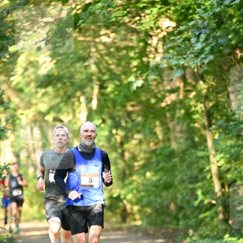 06.10.2024 - Bramfelder Halbmarathon 2024 Dr. Thomas Lammeyer http://msf.ph/oto/7333996 06.10.2024 09:47:55 Laufen  meine-sportfotos.de