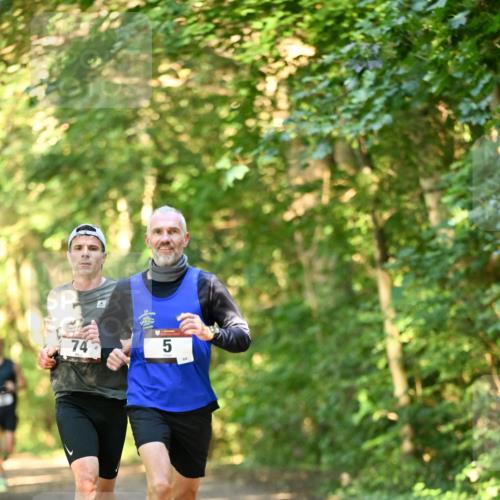 06.10.2024 - Bramfelder Halbmarathon 2024 Dr. Thomas Lammeyer http://msf.ph/oto/7334002 06.10.2024 09:47:56 Laufen 74, 5 meine-sportfotos.de