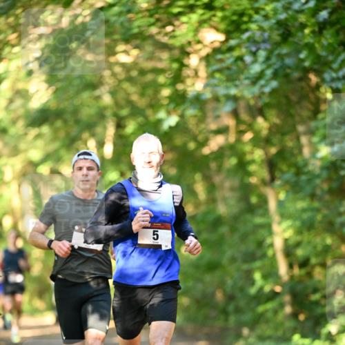06.10.2024 - Bramfelder Halbmarathon 2024 Dr. Thomas Lammeyer http://msf.ph/oto/7334005 06.10.2024 09:47:57 Laufen  meine-sportfotos.de