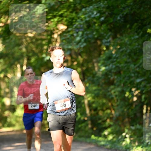 06.10.2024 - Bramfelder Halbmarathon 2024 Dr. Thomas Lammeyer http://msf.ph/oto/7334036 06.10.2024 09:48:05 Laufen 240, 46 meine-sportfotos.de