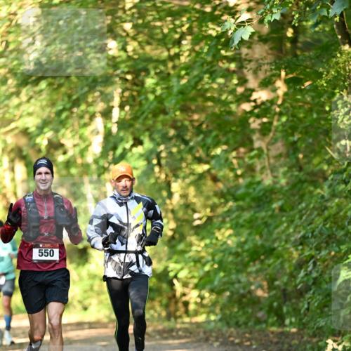 06.10.2024 - Bramfelder Halbmarathon 2024 Dr. Thomas Lammeyer http://msf.ph/oto/7334149 06.10.2024 09:49:10 Laufen 550 meine-sportfotos.de