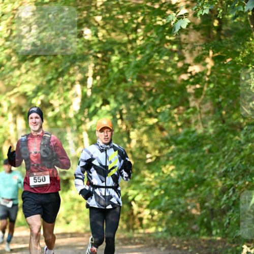 06.10.2024 - Bramfelder Halbmarathon 2024 Dr. Thomas Lammeyer http://msf.ph/oto/7334151 06.10.2024 09:49:10 Laufen 550 meine-sportfotos.de