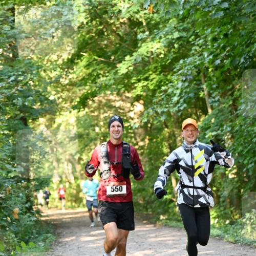 06.10.2024 - Bramfelder Halbmarathon 2024 Dr. Thomas Lammeyer http://msf.ph/oto/7334165 06.10.2024 09:49:14 Laufen 550 meine-sportfotos.de