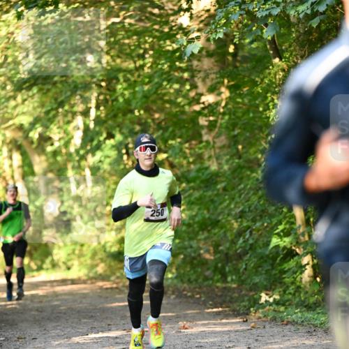 06.10.2024 - Bramfelder Halbmarathon 2024 Dr. Thomas Lammeyer http://msf.ph/oto/7334217 06.10.2024 09:49:28 Laufen 250 meine-sportfotos.de