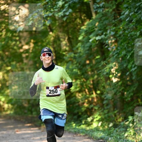 06.10.2024 - Bramfelder Halbmarathon 2024 Dr. Thomas Lammeyer http://msf.ph/oto/7334227 06.10.2024 09:49:30 Laufen 11, 250 meine-sportfotos.de