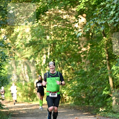 06.10.2024 - Bramfelder Halbmarathon 2024 Dr. Thomas Lammeyer http://msf.ph/oto/7334238 06.10.2024 09:49:33 Laufen 459 meine-sportfotos.de
