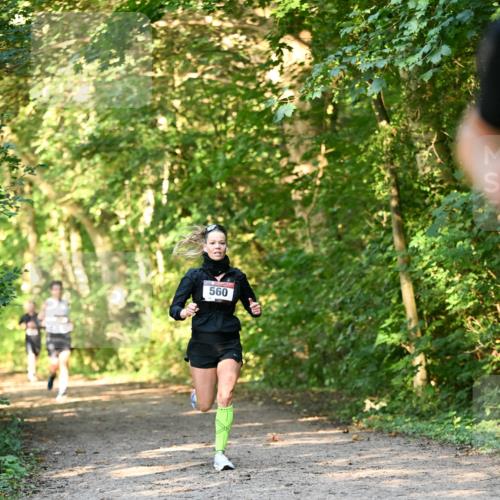 06.10.2024 - Bramfelder Halbmarathon 2024 Dr. Thomas Lammeyer http://msf.ph/oto/7334260 06.10.2024 09:49:37 Laufen 560 meine-sportfotos.de