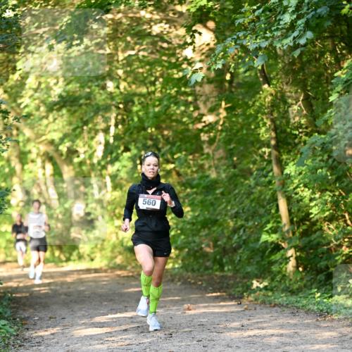 06.10.2024 - Bramfelder Halbmarathon 2024 Dr. Thomas Lammeyer http://msf.ph/oto/7334261 06.10.2024 09:49:37 Laufen 560 meine-sportfotos.de